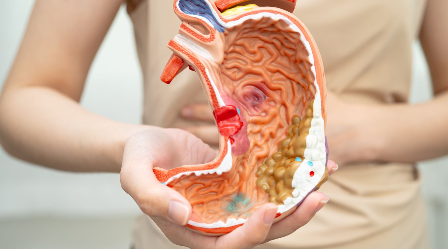 Ballonnements, digestion difficile ? Pourquoi les probiotiques seuls ne suffisent pas (L'effet Symbiotique).